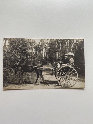 Antique Kodak Real Photo Postcard Benarkin Camp Queensland
