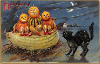 Raphael Tuck Halloween Series 150 Pumpkins Gourds Black Cat 1908 Postcard