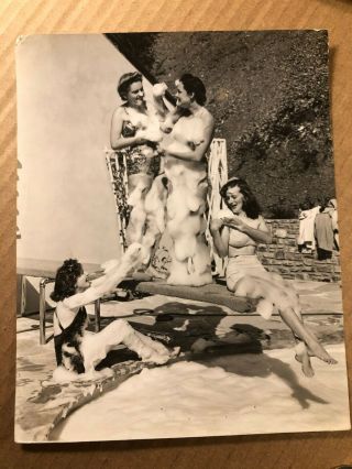 Alexis Smith Warner Starlets Rare Schuyler Crail Bubble Bath Pin Up Photo 40s