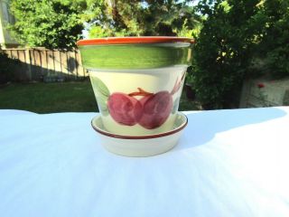 Rare Franciscan Apple Pattern Flower Pot With Underplate Portugal Backstamp
