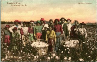 1920 Greetings From Pinehurst Moore County North Carolina Postcard Cotton Picker