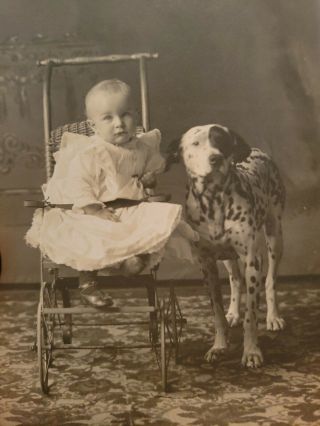 Early 1900s Rppc Baby In Carriage With Dalmatian Dog At Side