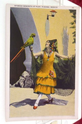Antique Postcard Woman With Parrot In Tijuana Mexico Spanish Fashion