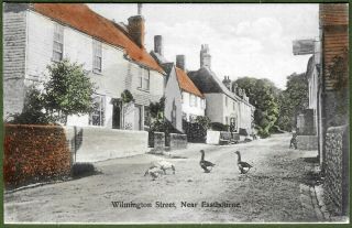 Wilmington Village,  Nr Eastbourne C1906.  Cottages,  Pub & Geese In Main Street.