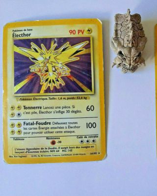Pokémon Carte électhor Holo Set De Base 90pv 16/102 2ème Ed Wizard Rare Français