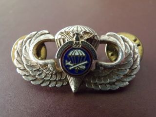Airborne Association Jump Wing Badge Sterling Silver Rare Parachutist Patch Pin