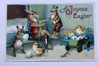 Antique Postcard Easter Humanized Rabbit Family Chicks Fantasy Embossed Unposted
