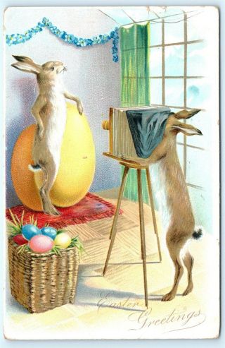 Postcard Easter Greetings Fantasy Rabbit Posing For Bunny Photographer Tucks A06