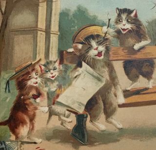 1905 Pc Mother Cat Naughty Kids Kitten In The Park A/s Boulanger Chat Katze