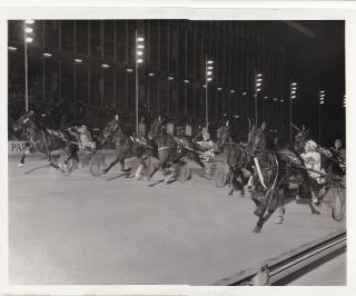 Maywood Park,  Harness Horse Race,  " Mcfrench " Winner