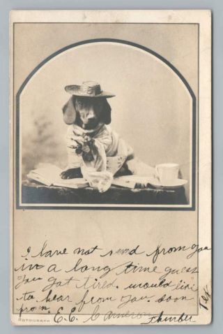 Daschund Dressed In Hat Reading Book W Tea Cup Rppc Cute Antique Dog Photo Pmc