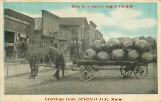 Maine,  Me,  Springvale,  Greetings,  This Is A Great Apple Center 1919 Postcard