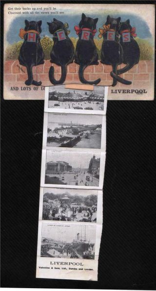 Louis Wain Black Cats.  Liverpool Views.  Postcard.  21