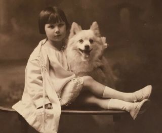 Antique Studio Photo Girl With Dog German Spitz Keeshond Rppc Cabinet Photo