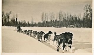 C1915 Rppc Dog Sled And Team,  Seward,  Alaska Schallerer Real Photo Postcard