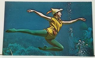 1950s/60s Weeki Wachee Fl Peter Pan And The Mermaids Underwater Postcard I19