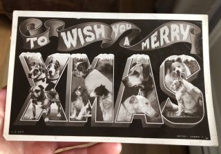 Antique 1908 Rppc Postcard Dogs Photo Montage Merry Xmas Real Photo Cute