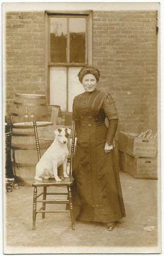Woman With Her Dog In Chair & British American Beer Boxes Rppc Real Photo C.  1910