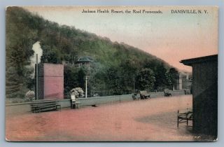 Dansville Ny Jackson Health Resort Antique Postcard