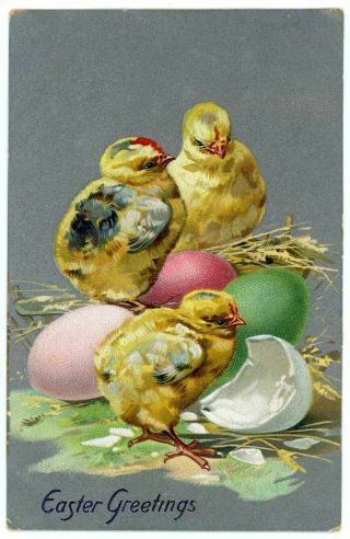 Vintage Postcard Easter Greetings Colored Eggs Baby Chicks Tuck 