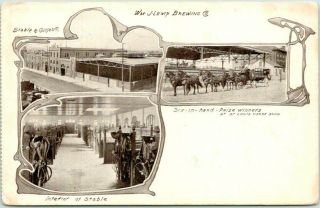 1900s St.  Louis Missouri Postcard Wm.  J.  Lemp Brewery Stables / Horse Team