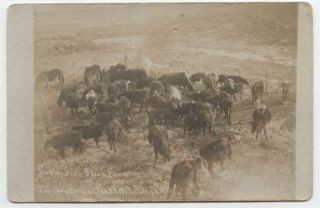 1910 Sunny Side Stock Farm J.  C.  Christenson 1913 Raleigh North Dakota Nd Rppc