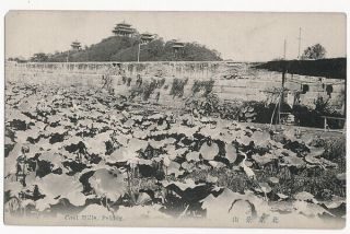 China Postcard,  Coal Hills Peking Circa 1910s