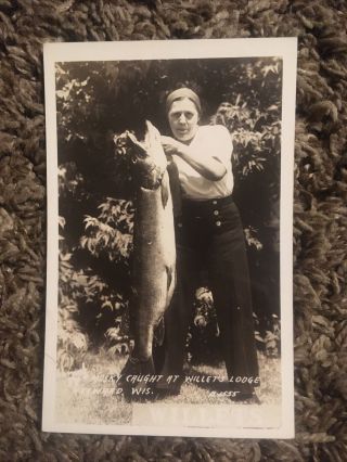 Rppc Postcard View Musky Caught At Willet’s Lodge Hayward Wisconsin Wi