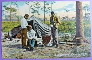 Black Americana Postcard,  " The Tonsorial Artist (haircut / Barber) In Florida "