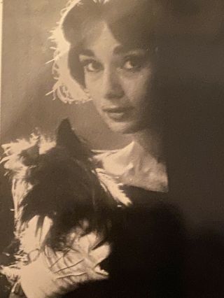Vintage Postcard Audrey Hepburn 1958 in Paris 2