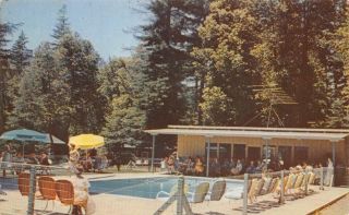 Whispering Pines Resort - Motel Miranda,  Ca Swimming Pool Ca 1950s Postcard