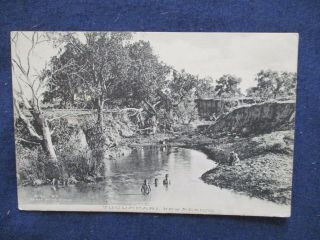 Ca1910 Tucumcari Mexico River Boys Swimming Skinny Dipping Postcard