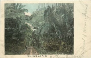 Honduras,  Ferro Carril Del Norte (northern Railway) Udb Postcard