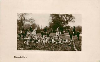 Davidson Bros Rppc Postcard 3029 Riders Horses & Hounds 