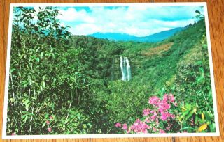 Vintage Hawaii Island Of Kauai Waterfall Postcard Rppc Beauty