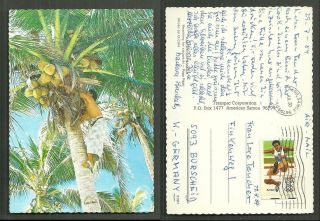 Pago Pago Coconuts Palm Tree American Samoa Stamp