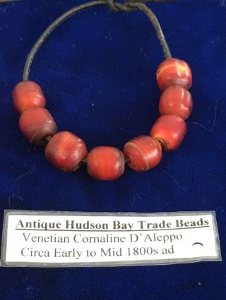 Antique African/hudson Bay Trade Beads Venetian Cornaline D 