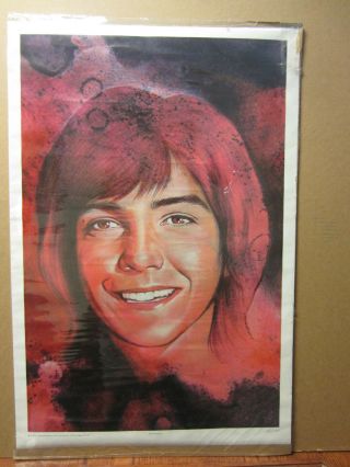 David Cassidy Vintage Poster Larry Nielson 1038