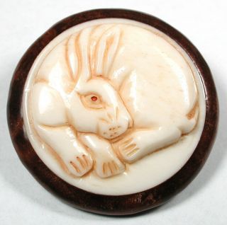 Carved Bone Button Detailed Rabbit Set In Wood - 1 & 3/8 "