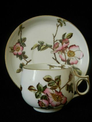Antique George Jones Crescent China " Briar Rose " Cup And Saucer (duo) Dated 1881