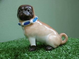 Antique 19thc Porcelain German Conta Boeheme Pug Dog In Sitting Pose C.  1870