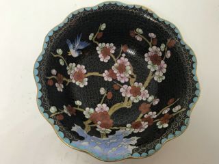 Vintage Scalloped Cloisonne Bowl People Republic China Black Cherry Blossom Bird