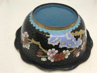 Vintage Scalloped Cloisonne Bowl People Republic China Black Cherry Blossom Bird 3