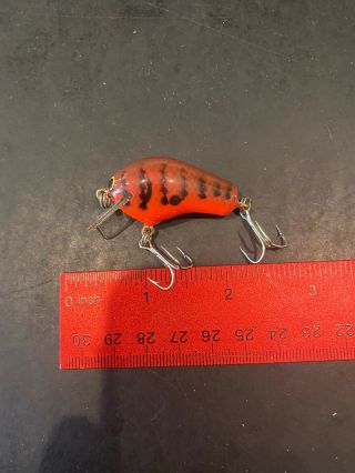 Bagley’s Honey B DC2 Dark Crayfish on Orange 2