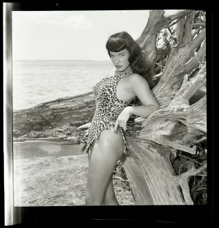 Bettie Page Leopard Leotard Pinup 1954 Camera Negative Bunny Yeager