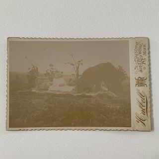 Antique Cabinet Card Photo Adorable Child Baby On Picnic With Dog Red Wing,  Mn