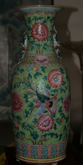 Antique China Straits Porcelain Vase 19th Century with Phoenix 24 