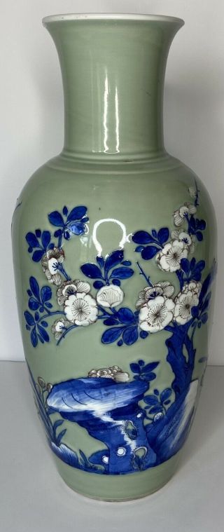 Ant.  Chinese 19c Porcelain Celadon Baluster Vase Blue White Double Ring Mark 17”