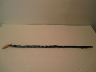 Vintage Blackthorn Irish Shillelagh Walking Stick Cane 36  7