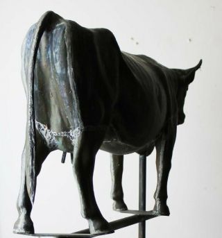 ANTIQUE AMERICAN FULL BODIED COW WEATHERVANE WEATHER VANE CIRCA 1890 4
